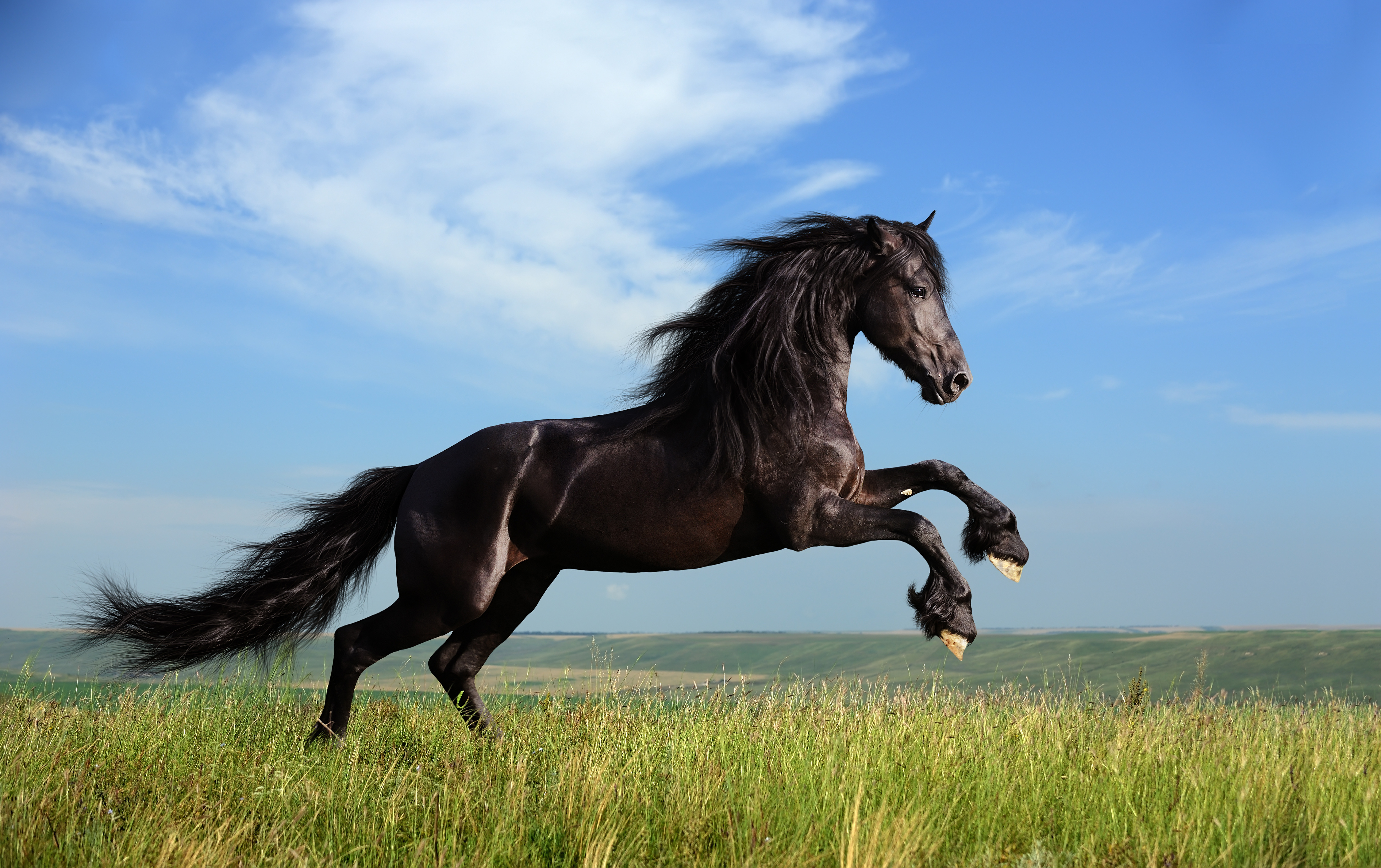 Safety Tips to Follow While Riding Vacation Horses
